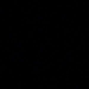 Meet your Posher, Lilly